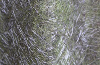 Bushey fibreglass roof work